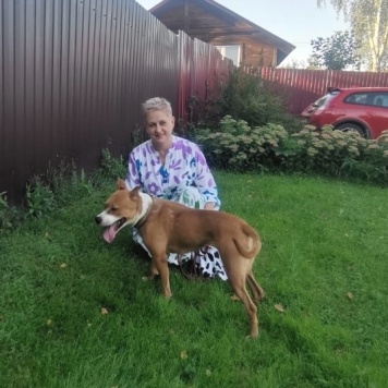 Собаки в добрые руки - Хельга - 3