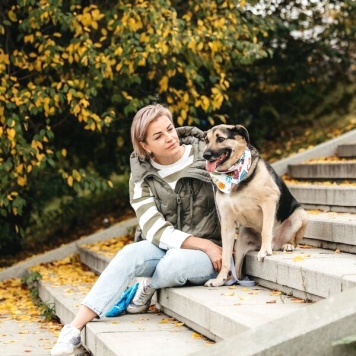 Собаки в добрые руки - Дэнди - 3