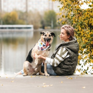 Собаки в добрые руки - Дэнди - 4