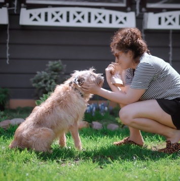 Собаки в добрые руки - Лео - 2