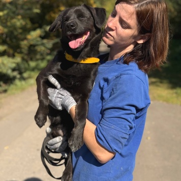 Собаки в добрые руки - Марио - 1