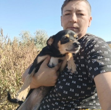 Собаки в добрые руки - Тося - 3