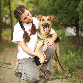 Собаки в добрые руки - Маффин - 1