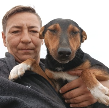 Собаки в добрые руки - Якут