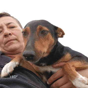 Собаки в добрые руки - Якут - 1