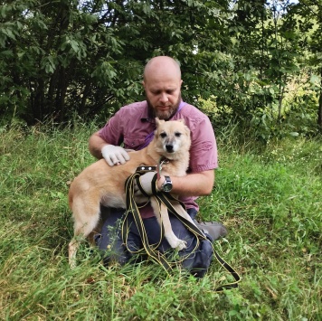 Собаки в добрые руки - Леди - 2