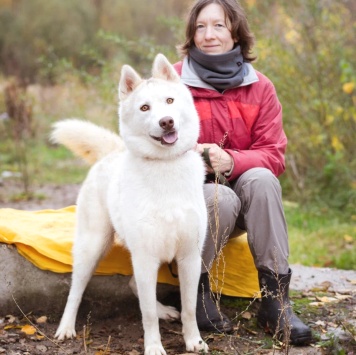 Собаки в добрые руки - Пломбир - 1
