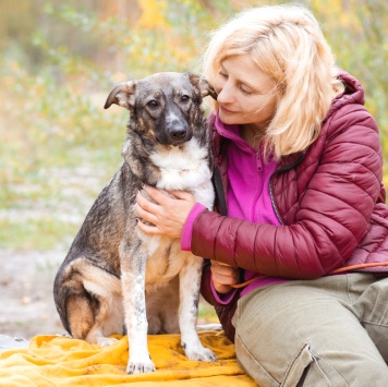 Эльза - Собаки в добрые руки