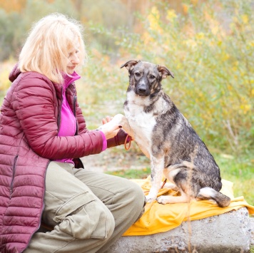 Собаки в добрые руки - Эльза - 1