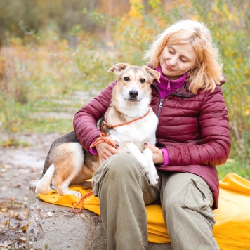 Собаки в добрые руки - Айрис - 2