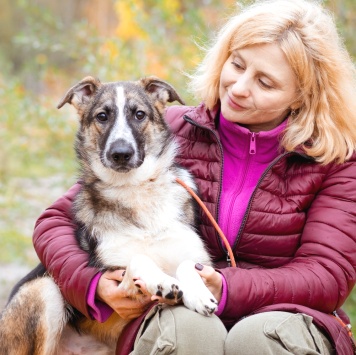 Собаки в добрые руки - Симба - 1