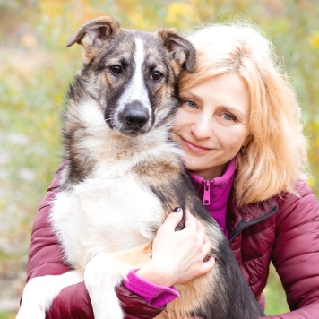 Собаки в добрые руки - Симба - 3