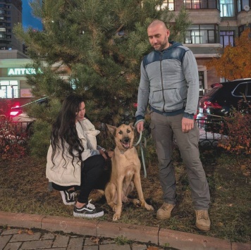 Собаки в добрые руки - Локи - 2