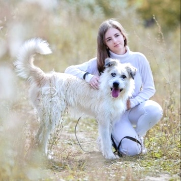 Ластик - Собаки в добрые руки