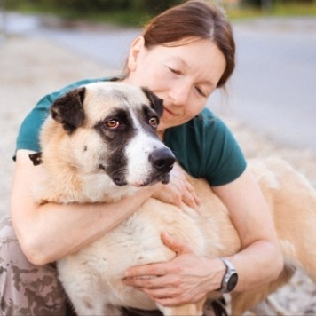 Собаки в добрые руки - Ханна - 1