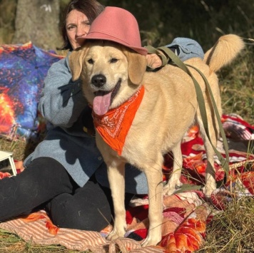 Собаки в добрые руки - Джеф - 1