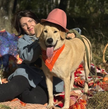 Собаки в добрые руки - Джеф - 2