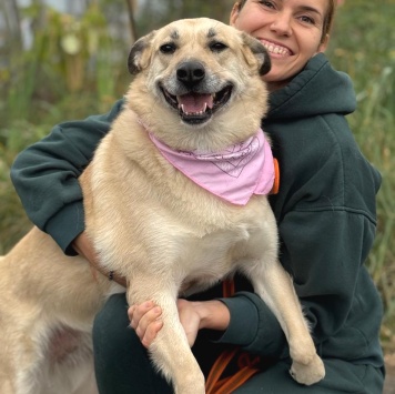 Собаки в добрые руки - Лэнди - 1