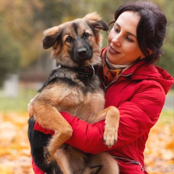 Собаки в добрые руки - Соня - 1