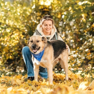 Собаки в добрые руки - Дынька - 3