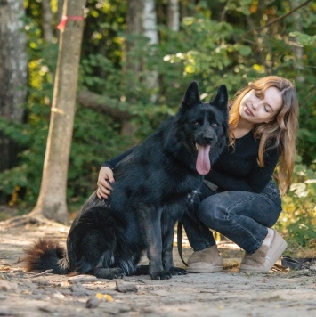 Собаки в добрые руки - Блейд - 3