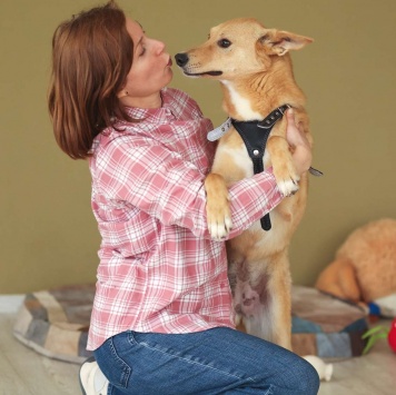 Собаки в добрые руки - Фокси - 3