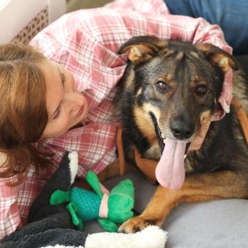 Собаки в добрые руки - Енисей - 1