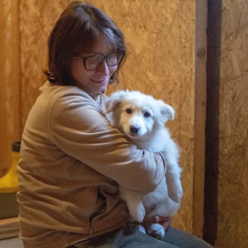 Собаки в добрые руки - Бэлочка - 1