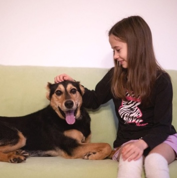 Собаки в добрые руки - Молли - 3