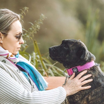 Собаки в добрые руки - Миранда