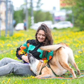 Собаки в добрые руки - Лана - 3