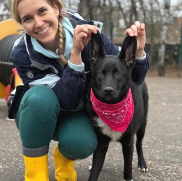 Янка - Собаки в добрые руки