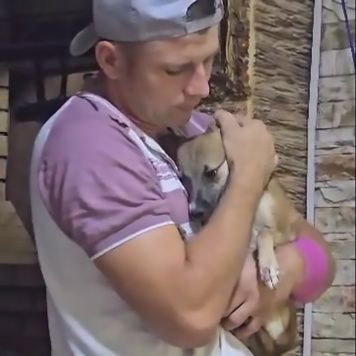 Собаки в добрые руки - Шурка - 2