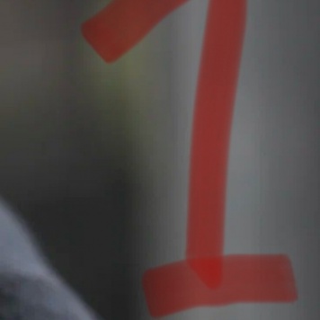 Собаки в добрые руки - Кнопа - 1