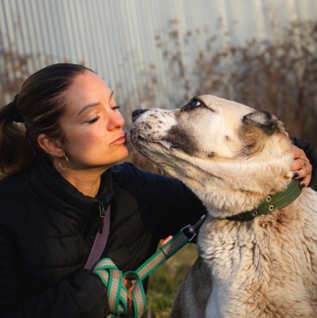 Собаки в добрые руки - Саванна - 1