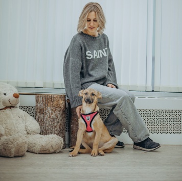 Собаки в добрые руки - Лема - 4