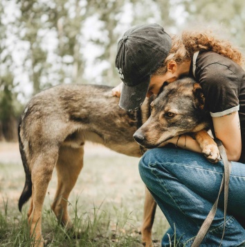 Собаки в добрые руки - Джобся - 1