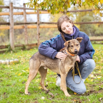 Собаки в добрые руки - Рэй - 4
