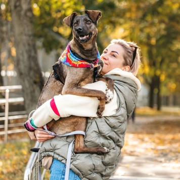 Собаки в добрые руки - Стася - 3
