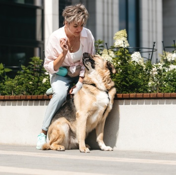 Собаки в добрые руки - Дынечка - 4