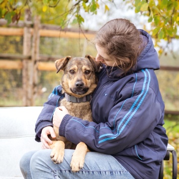 Собаки в добрые руки - Рэй - 1