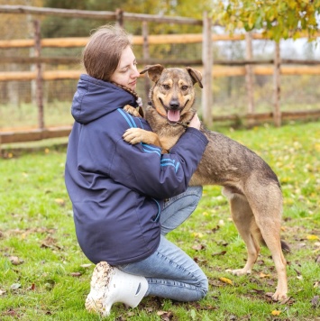 Собаки в добрые руки - Рэй - 2