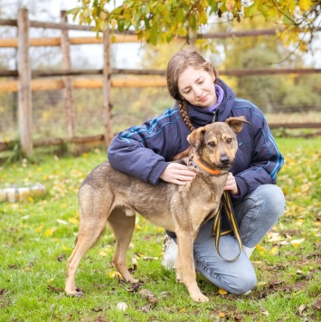 Собаки в добрые руки - Рэй - 3