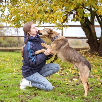 Собаки в добрые руки - Рэй - 4