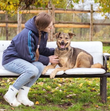 Собаки в добрые руки - Рэй - 3