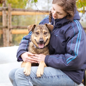 Собаки в добрые руки - Рэй - 4