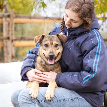 Собаки в добрые руки - Рэй