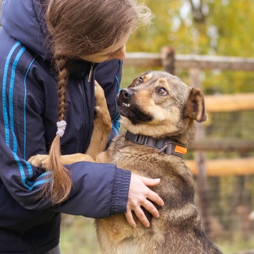 Собаки в добрые руки - Рэй