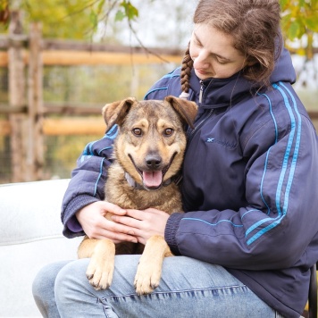 Собаки в добрые руки - Рэй - 3