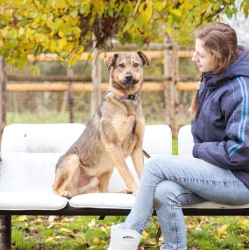 Собаки в добрые руки - Рэй - 2